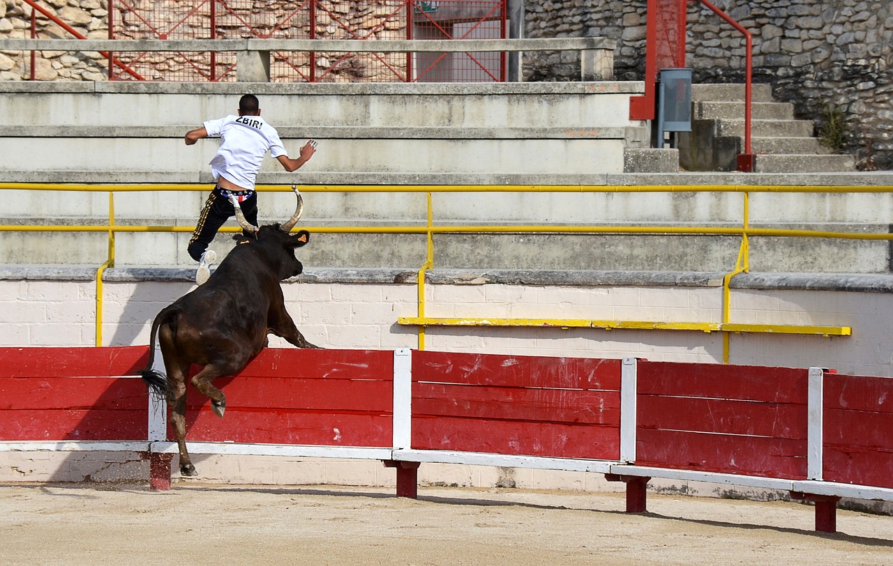 亲友们可以